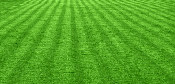 Grass lawn. The laid grass lawn on the football field as an abstract background.