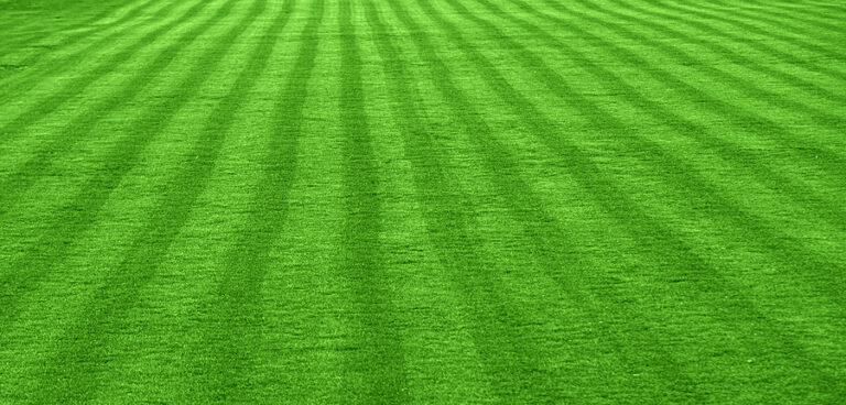 Important Steps To Take If You Want To Have A Beautiful Lawn