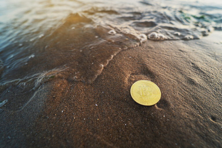 Environment. Bitcoin On The Beach. Nature.