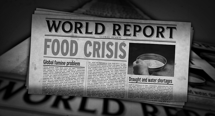 Is 3D the Solution To Global Food Crises