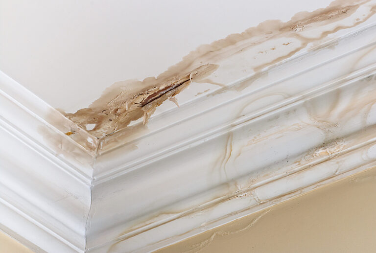 Unexpected Water Damage Indicators Homeowners Should Watch