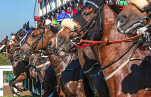 Dubai Hosted the World’s Richest Horse Racing Event