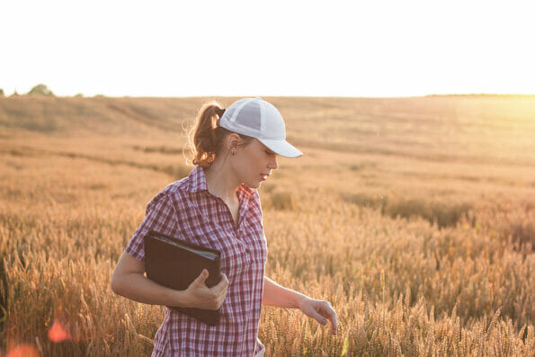 Young woman farmer works on a wheat field in the sun. Business woman plans her income in the field. Female agronomist with a tablet study the wheat crop in the agricultural field. Grain harvest.