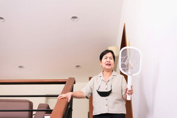 Elderly asian woman using mosquito swatter at home,Elderly women with mosquito electric net racket