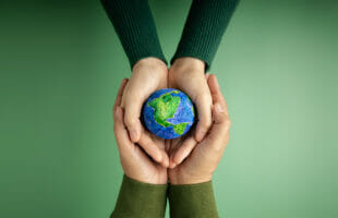 Eco-Friendly Solutions For Your Business Needs