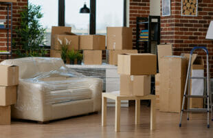 Cardboard Furniture For People With Actual Homes