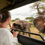 What Conditions Must Be Satisfied Before a Tourist EVisa Can Be Issued for Tanzania?