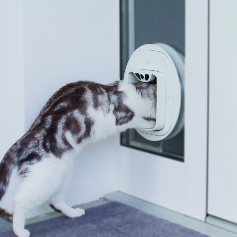 PAWLY APPROVED USE