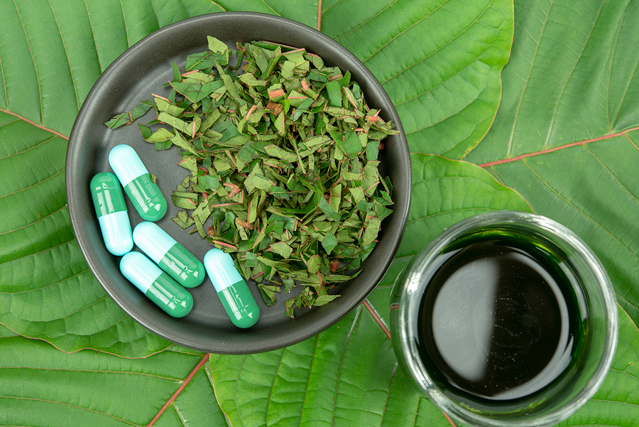 Kratom Strains for Beginners: Tips for Selecting Your First Variety