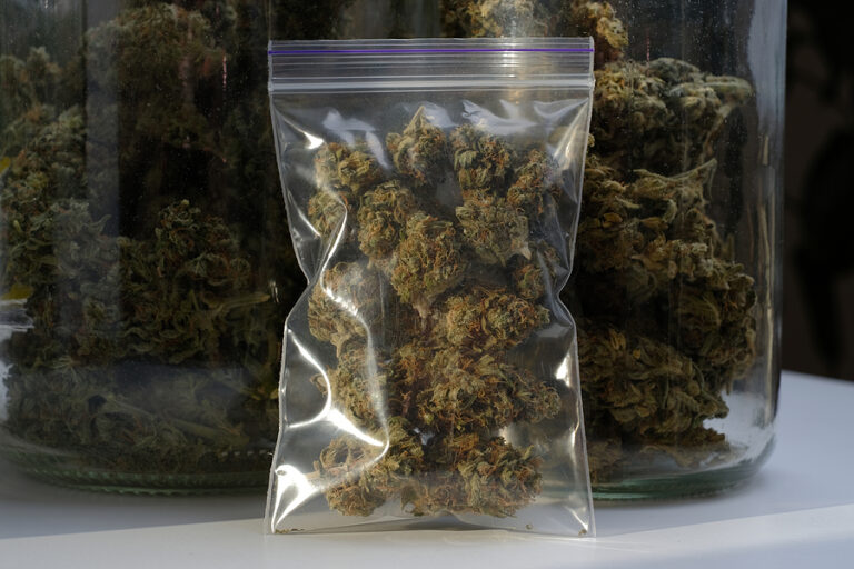 Navigating the Regulatory Compliance Solutions for a Cannabis Startup