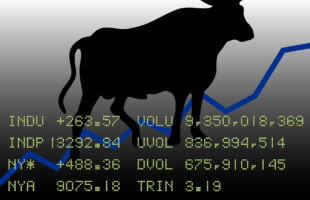 The Significance of Market Sentiment in a Bull Market