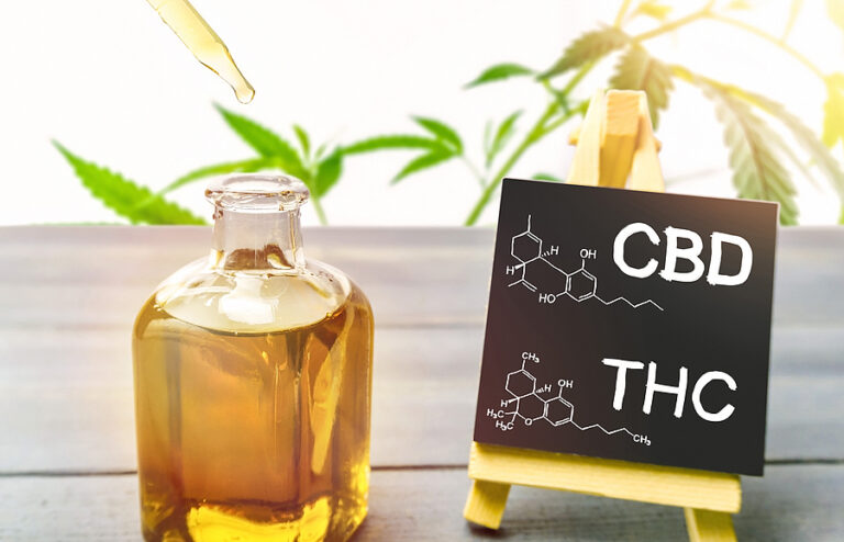 CBD vs. THC: Which is the Best Edible for First-Time Users?