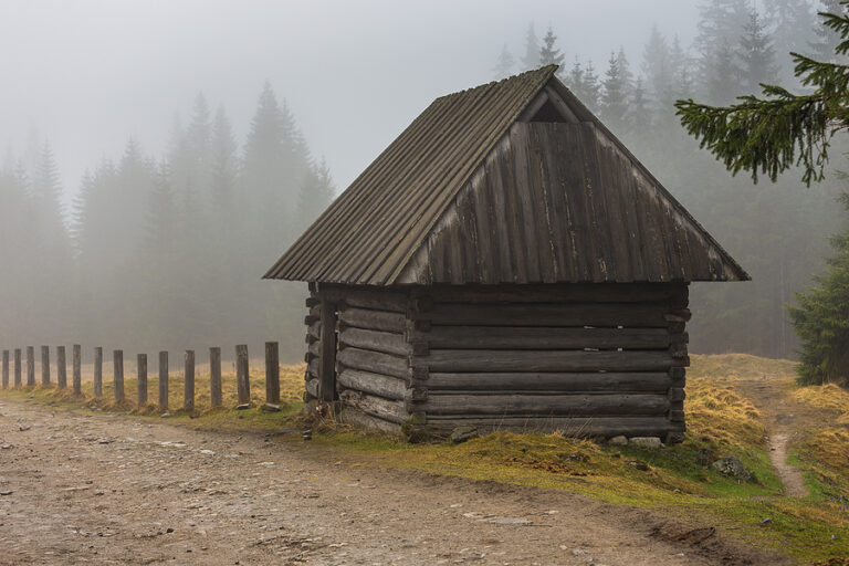 The Environmental Benefits of Shepherd’s Huts: A Sustainable Alternative